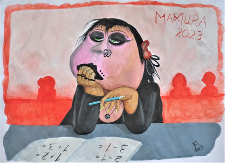 Österreichische Maturantin im Pisa-Stress